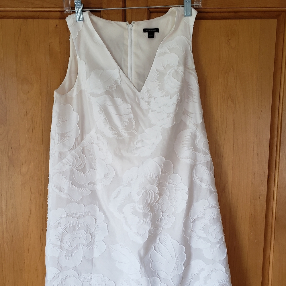 White v neck dress